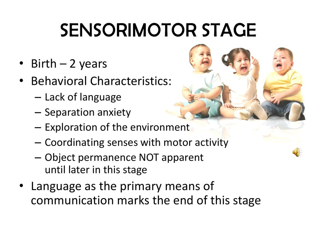 Sensorimotor period new arrivals